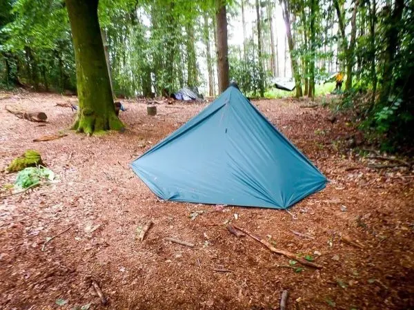 Zelt steht auf dem Waldboden zwischen Bäumen