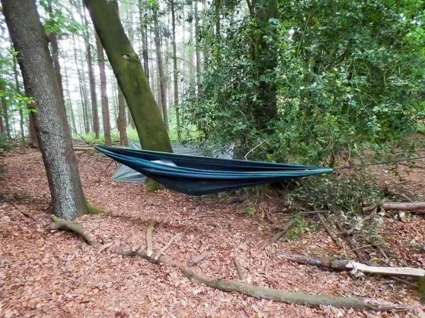 Hängematte zwischen zwei Bäumen in einem Waldgebiet gespannt