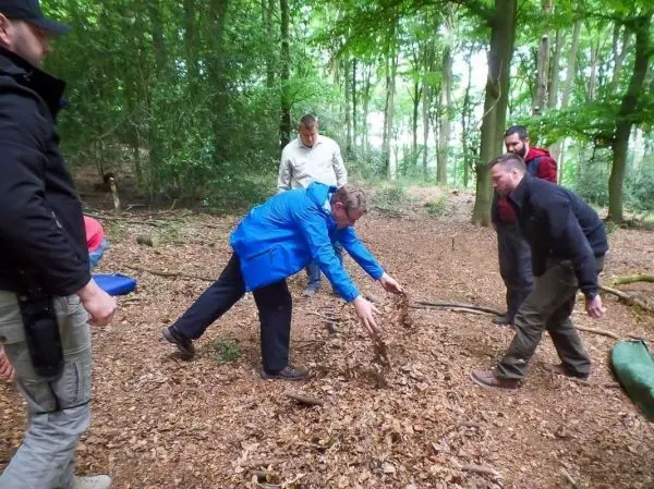 Mann hebt Laub auf, während andere im Wald stehen und beobachten