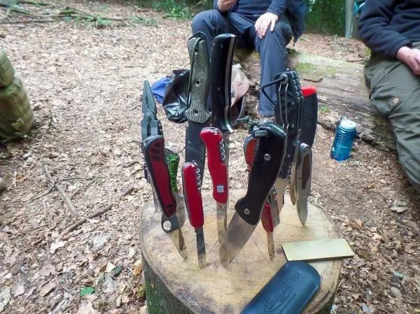 Mehrere Messer stehen auf einem Baumstumpf im Wald
