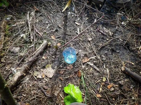 Blaues Objekt auf dem Boden zwischen Ästen und Laub