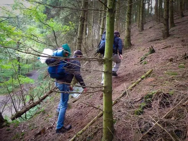 Drei Personen mit Rucksäcken steigen einen bewaldeten Hang hinauf