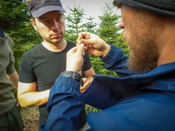 Eine Person zeigt einer anderen, wie man eine Pflanze vorbereitet