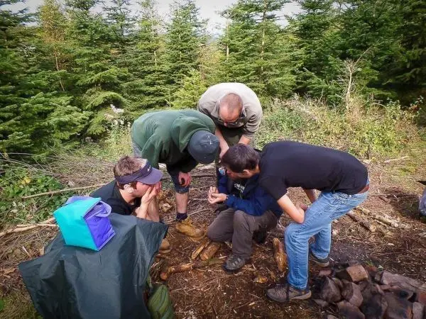 Fünf Personen beugen sich über einen kleinen Haufen Holz im Wald