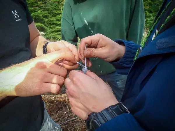 Hände verbinden ein Seil mit einem Knoten beim Überlebenstraining