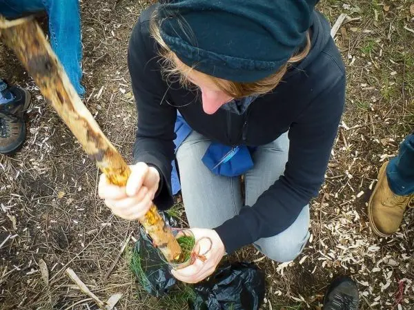 Holzstück wird in einen Behälter gedrückt, um Zunder zu komprimieren