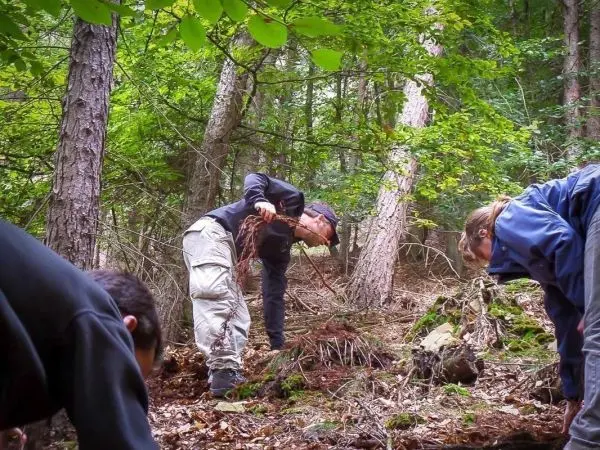 Person gräbt im Wald Erde aus und entfernt Wurzeln beim Überlebenstraining