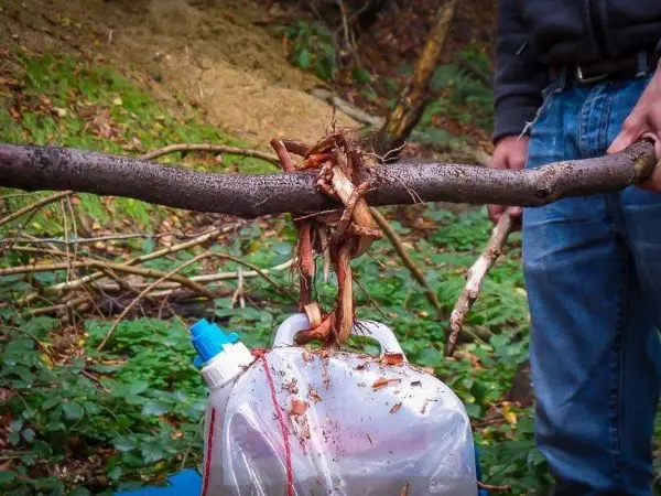 Selbstgebaute Konstruktion aus einem Stock und einer Wasserflasche, mit Rinde gesichert