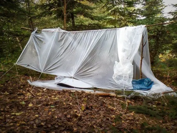 Tarp-Notunterkunft aus Folie, auf Ästen gespannt, im Wald auf Laubboden