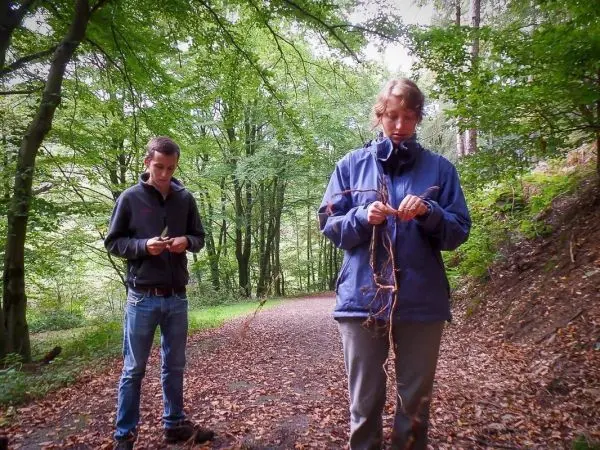 Zwei Personen bearbeiten Äste im Waldweg zwischen Bäumen
