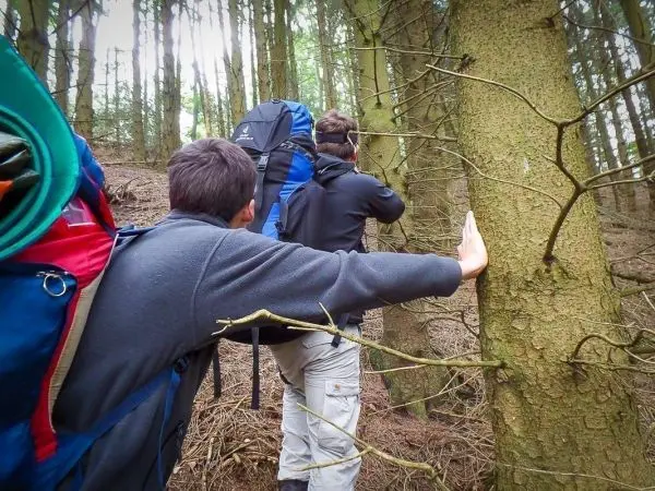 Zwei Personen mit Rucksäcken stehen im Wald und beobachten einen Baum