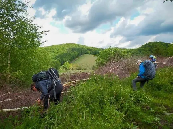 Drei Personen bewegen sich durch ein bewaldetes Gebiet mit umgestürzten Bäumen