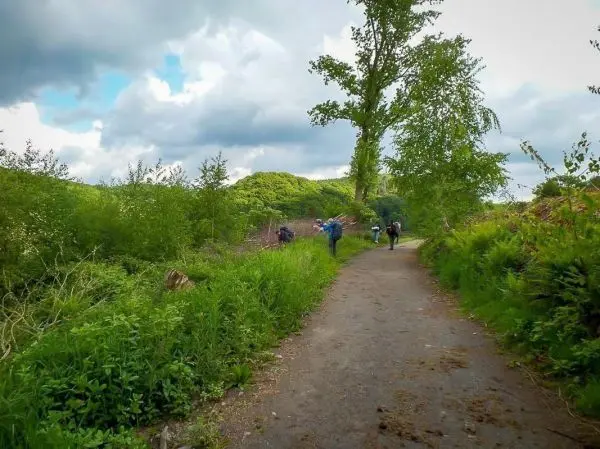 Gruppe von Personen wandert auf einem schmalen Weg durch die Natur
