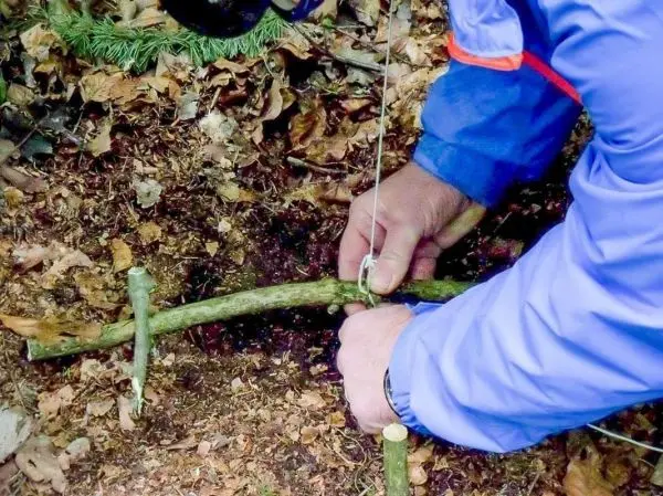 Hände binden eine Schnur um einen Stock zur Konstruktion einer Schlagfalle