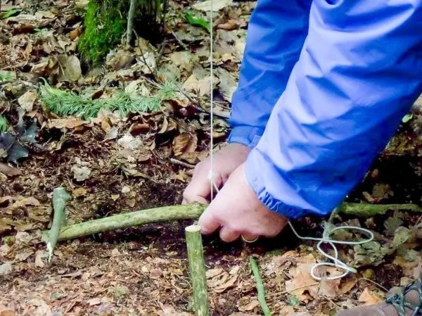 Hände binden einen Stock mit Schnur in den Boden ein
