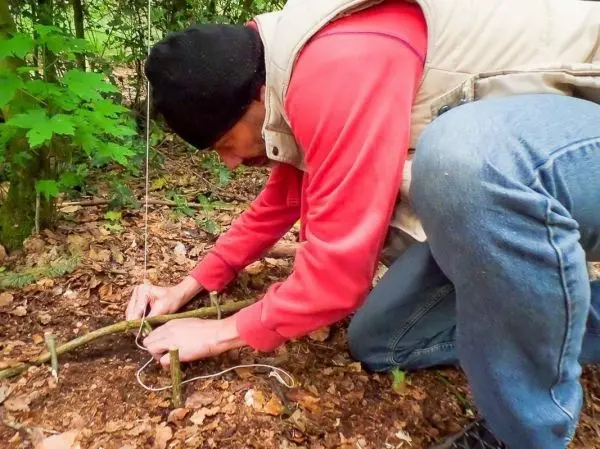 Mann baut eine Schlingenfalle aus Ästen und Schnur im Wald