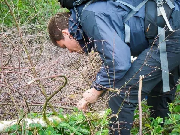 Mann beugt sich über Pflanzen und untersucht den Boden im Unterholz