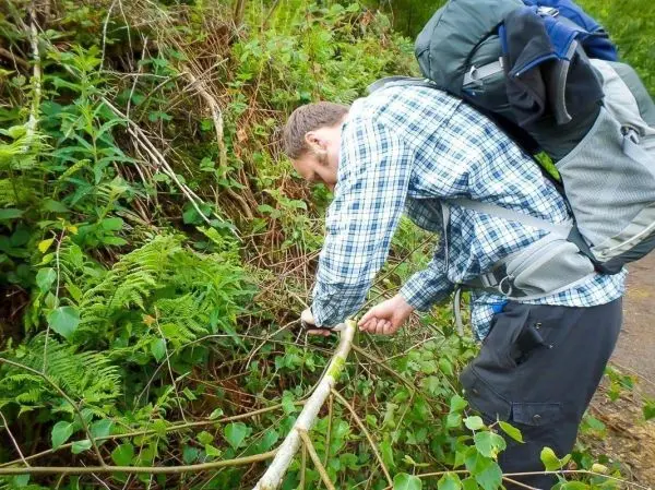 Mann schneidet mit einem Messer einen Stock im Unterholz