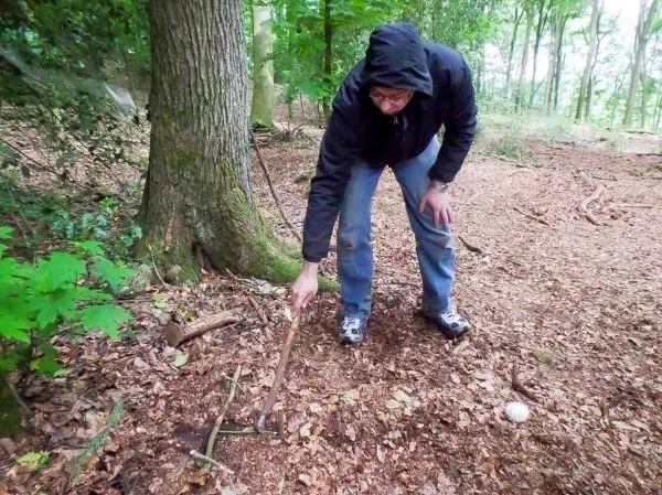 Person bearbeitet den Boden mit einem Stock im Wald