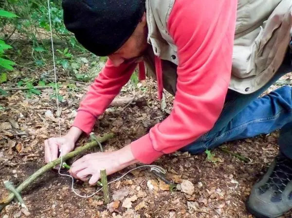 Person bindet Schnur an Äste im Wald