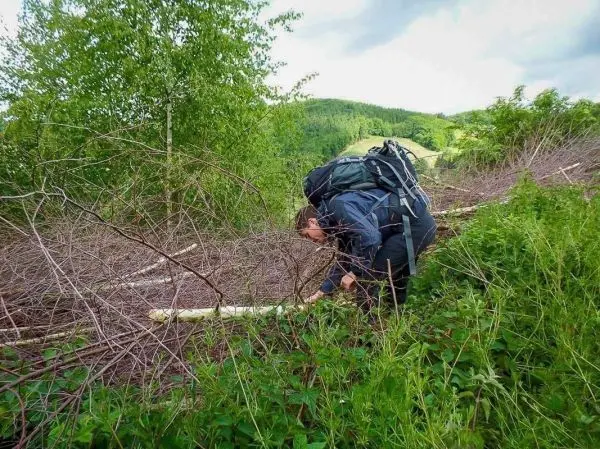 Person mit Rucksack beugt sich über den Boden zwischen Ästen und Sträuchern