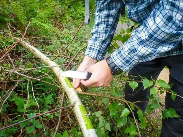 Person schneidet mit einem Messer einen Ast ab