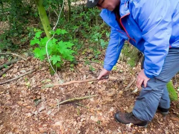 Person zeigt auf einen Stock im Wald
