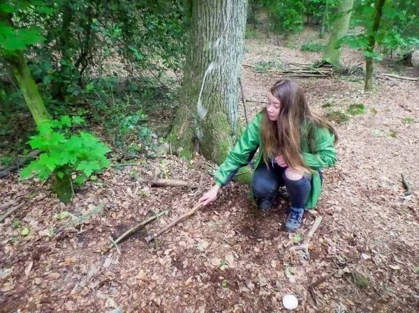 Person zeigt auf einen Stock im Wald