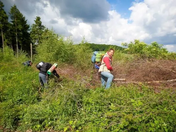 Personen entfernen Gestrüpp in einer bewaldeten Umgebung mit Rucksäcken