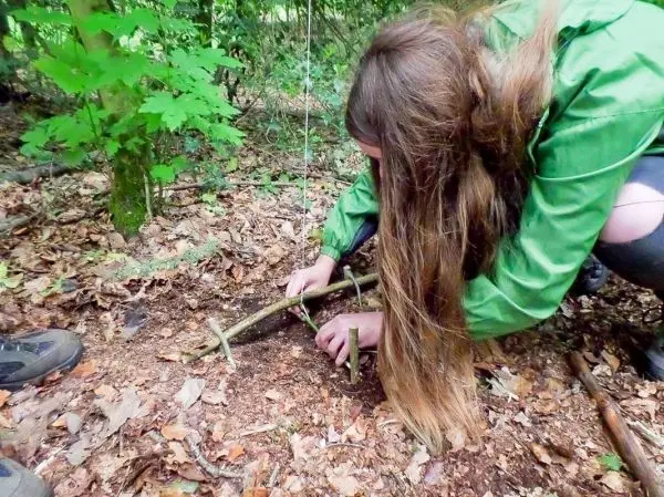 Schlagfalle (Figure-Four-Falle) wird mit Ästen konstruiert