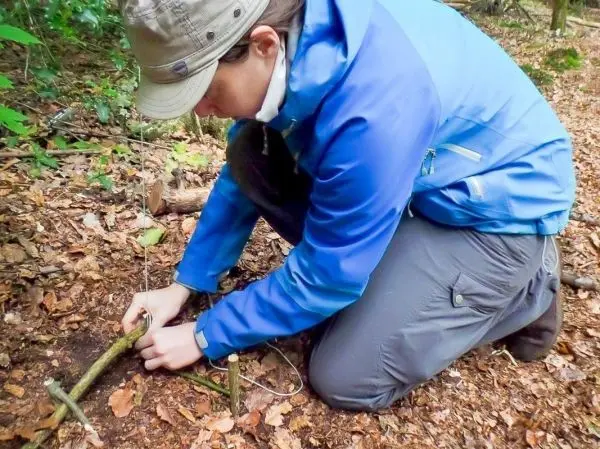 Schlagfalle (Figure-Four) wird aus Ästen und Schnur konstruiert
