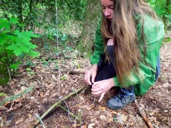 Schlingenfalle wird mit Schnur und Holzstücken im Wald vorbereitet