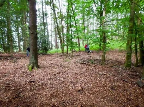 Zwei Personen arbeiten im Laubwald, umgeben von Bäumen und Unterholz