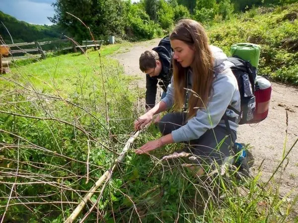 Zwei Personen sammeln Äste und Zweige am Wegesrand