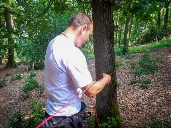Person bindet ein Seil um einen Baum im Wald