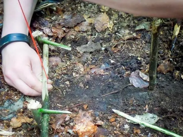 Person bindet eine Schnur um einen Stock im Wald