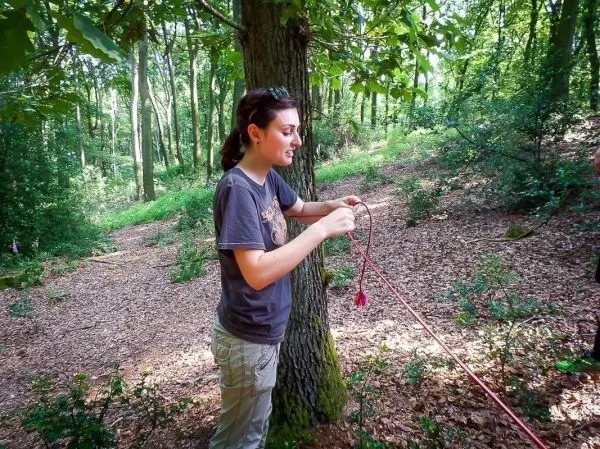 Person knotet ein Seil an einem Baum im Wald