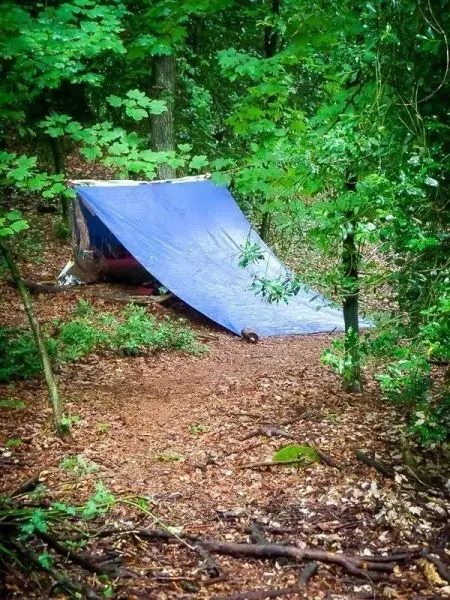 Tarp-Notunterkunft aus blauer Plane zwischen Bäumen im Wald auf Laubboden
