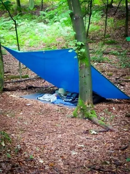 Tarp-Notunterkunft unter Bäumen mit Schlafsack und Ausrüstung auf dem Boden