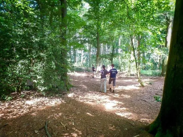 Waldweg mit mehreren Personen, die in Richtung Lichtung gehen