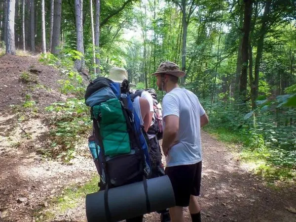 Wanderer mit Rucksack gehen auf einem Waldweg zwischen Bäumen