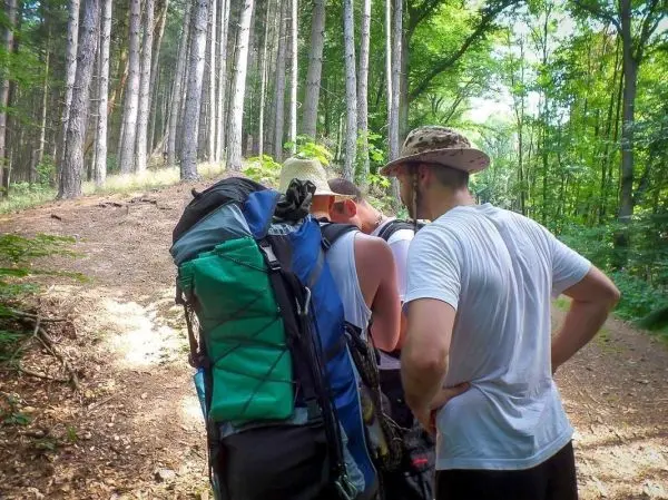 Wanderer mit Rucksäcken auf einem Waldweg, umgeben von Bäumen