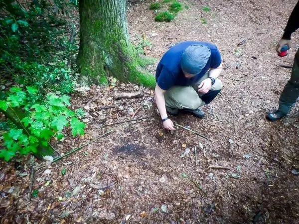 Zwei Personen untersuchen den Boden im Wald, eine Person berührt einen Stock