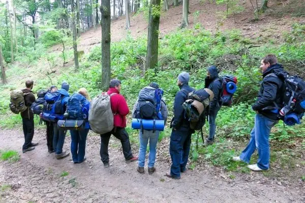 Gruppe mit Rucksäcken steht auf einem Waldweg und beobachtet die Umgebung