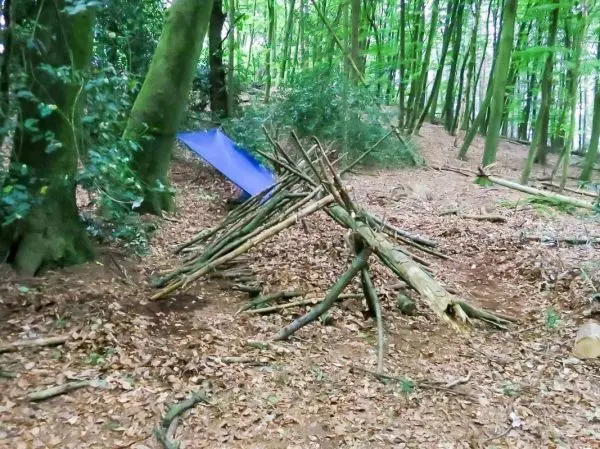 Selbstgebaute Tarp-Notunterkunft aus Ästen und einer blauen Plane im Wald