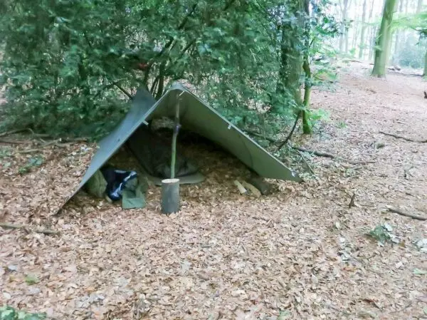 Tarp-Notunterkunft unter Bäumen mit Holzstück als Stütze und Laubboden