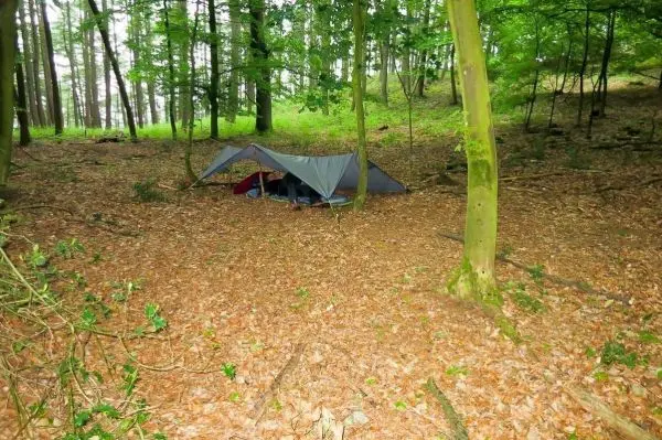 Tarp-Notunterkunft zwischen Bäumen auf einem mit Laub bedeckten Boden