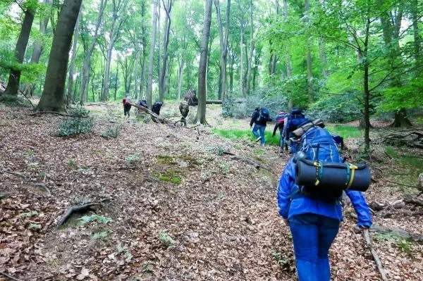 Wandernde Gruppe mit Rucksäcken durch einen bewaldeten Bereich mit Laub