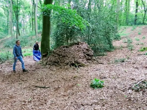 Zwei Personen gehen durch einen Wald mit Laub und einem Laubhaufen