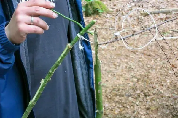Zweigkonstruktion mit Schnur und Hebelmechanismus für eine Schlagfalle